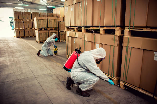 Best Emergency Pest Control  in West Point, VA
