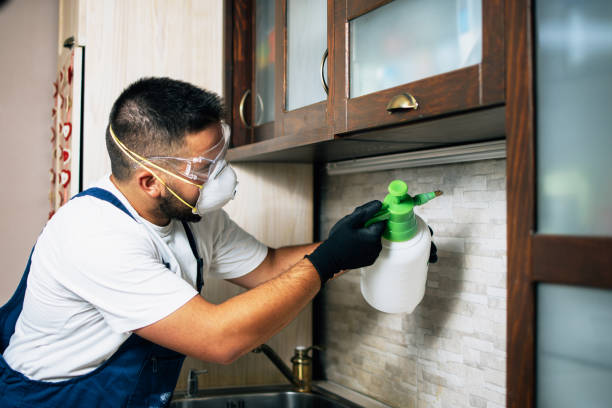 Best Pest Removal Services  in West Point, VA