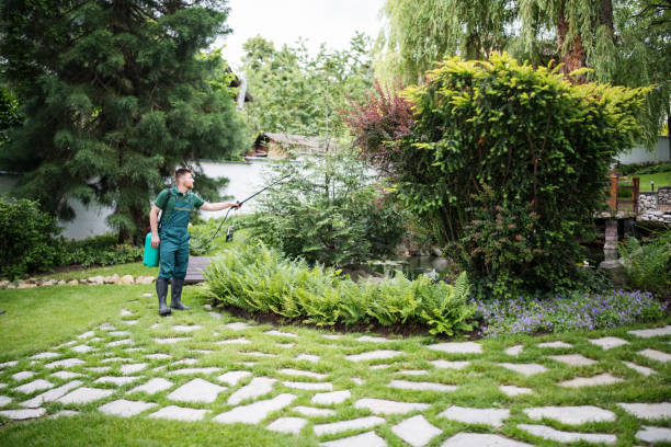Best Affordable Pest Control Services  in West Point, VA