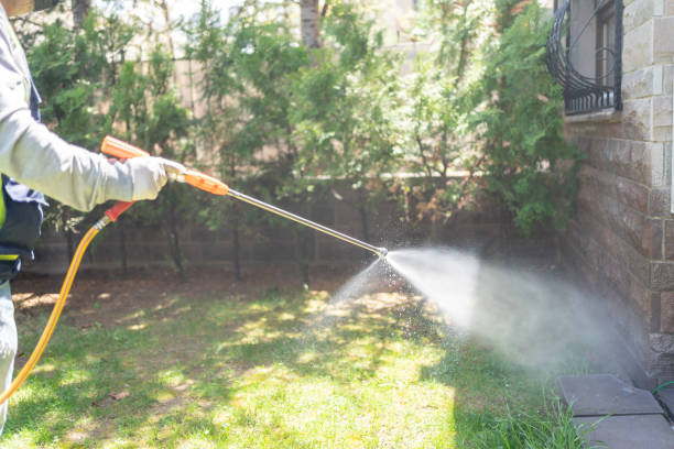 Best Best Pest Control Companies  in West Point, VA