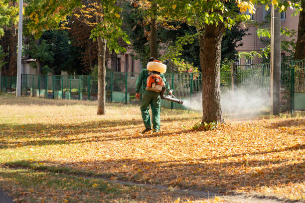 Best Pest Prevention Services  in West Point, VA