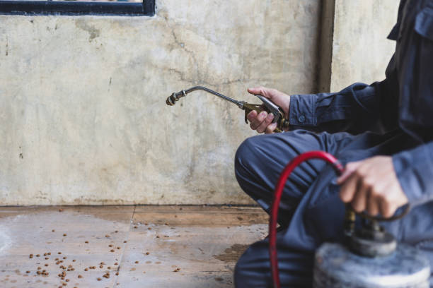 Best Pest Inspection Near Me  in West Point, VA
